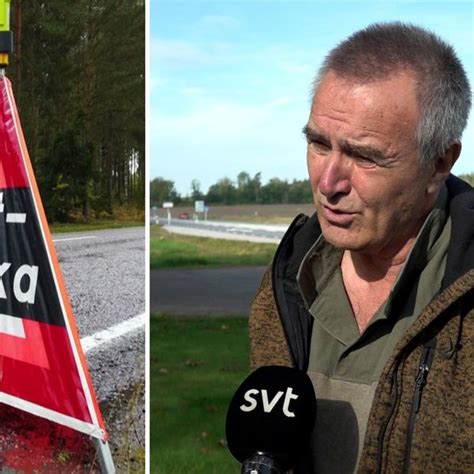 Tre Tips För Att Undvika En Viltolycka Svt Nyheter