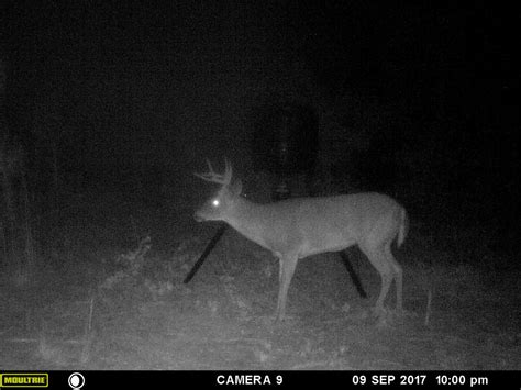 MFDC1276 MOULTRIE DIGITAL GAME CAMERA Buck Club Flickr