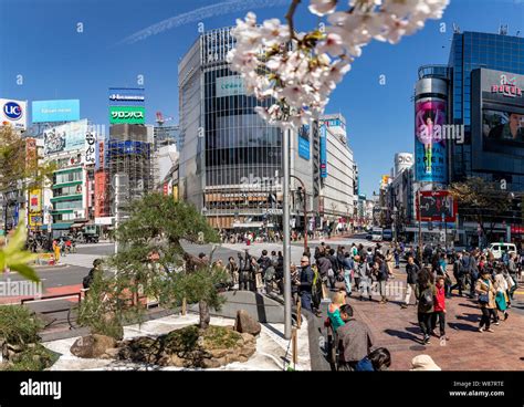 Shibuya Crossing Tokyo Hi Res Stock Photography And Images Alamy