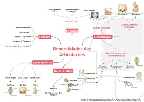 Mapa Mental Generalidades das Articulações AnatoCast