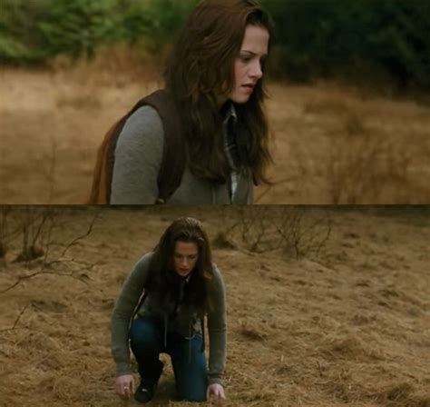 Bella Finds The Meadow But It S Completely Dry The Twilight Saga New