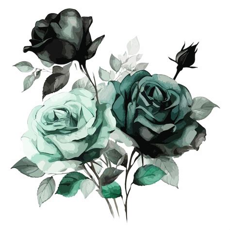 Premium Vector Watercolor Roses Green Flower On White Background