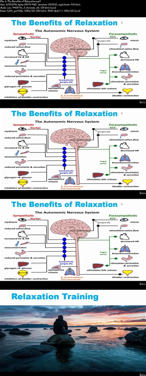 Neuroplasticity How To Rewire Your Brain