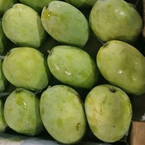 Jual Mangga Cengkir Muda Kg Buah Segar Buah Bandung Di Seller