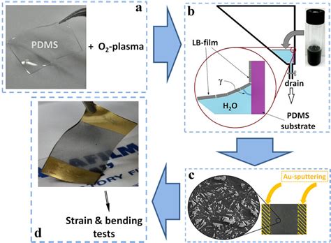 Fabrication Route For The Sensor Based On Thin Gnbs Pdms Substrates