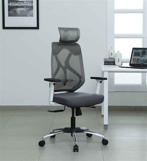 Buy Zodiac Breathable Mesh Ergonomic Chair In White Grey Colour With