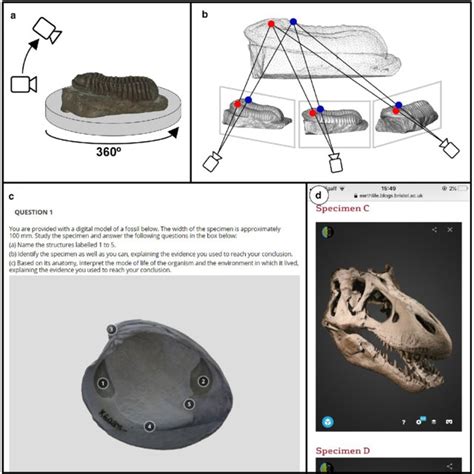 127588 PDFs | Review articles in PALEONTOLOGY