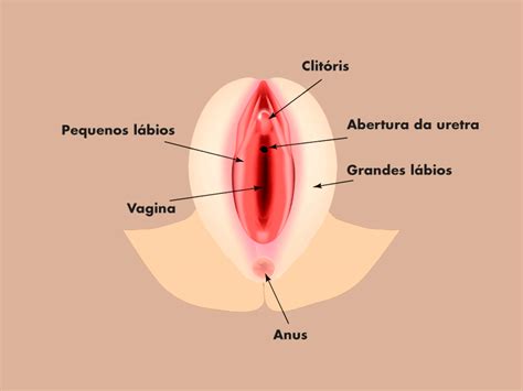 Cirurgia íntima feminina saiba tudo sobre o procedimento