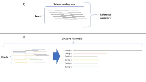 Comparison Of Reference Assembly And De Novo Assembly A Reference