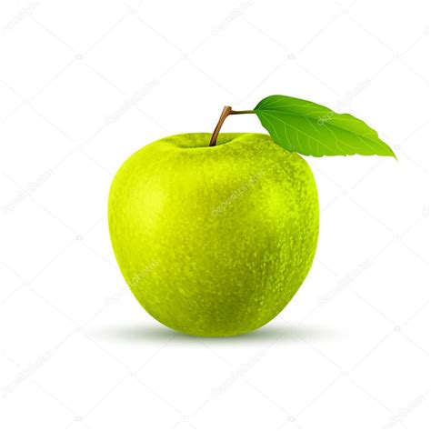 Green Apple Stock Vector By ©netkoff 76517053