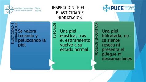 Examen Fisico Enfermeria Del Paciente Cefalocaudal Ppt