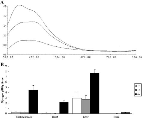 Glycogen Content A Absorbance Spectrum Showing Abnormal Glycogen