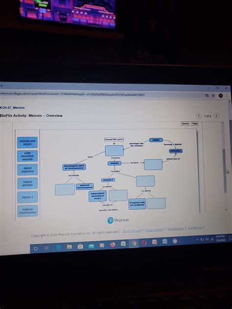 Solved Bioflix Activities Meiosis Overview Chegg