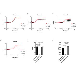 Growth Phenotype Of Wt And The Mxtr And Erdr Strains In The Presence