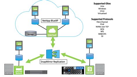 Netapp Ontap