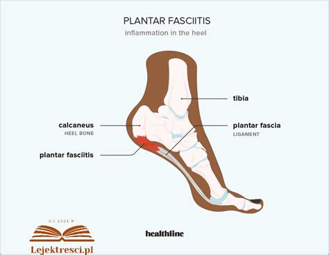 Pi Ta Achillesa Co Oznacza Znaczenie Stycze Biografin Pl