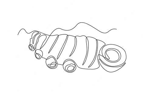 Premium Vector Single One Line Drawing Turmeric Vegetable Concept