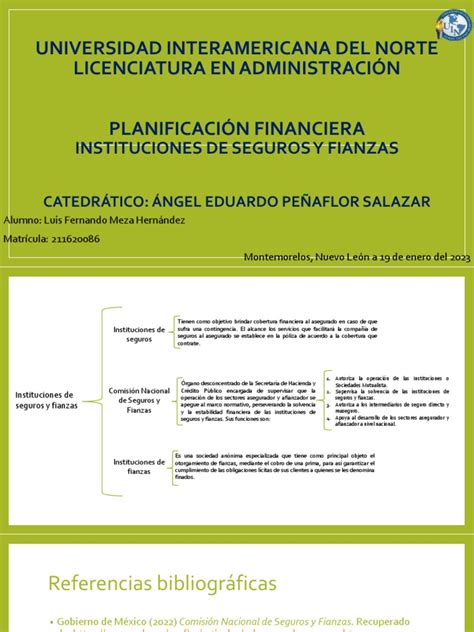 Instituciones De Seguros Y Fianza Pdf Seguro Business