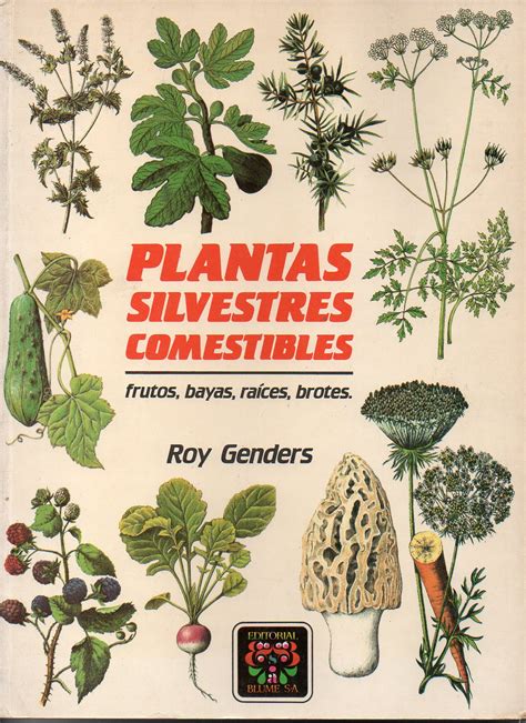 Plantas Silvestres Comestibles Frutos Bayas Raíces Brotes De Roy Genders Buen Estado