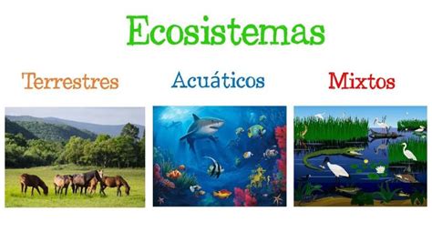 Ecosistema Terrestre Y Acuatico