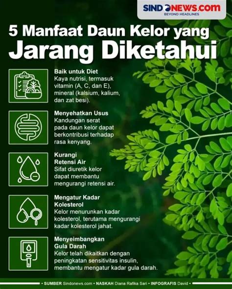 Manfaat Daun Kelor Untuk Penyakit Apa Saja Salah Satunya Turunkan