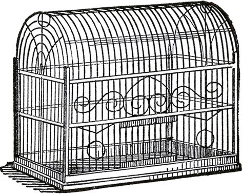 Vintage Bird Cage Image - The Graphics Fairy