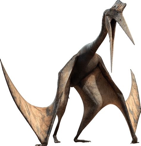 Quetzalcoatlus Dinosaur Alive Wiki Fandom