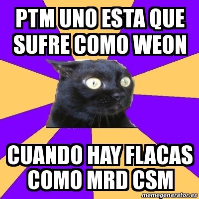 Meme Anxiety Cat Ptm Uno Esta Que Sufre Como Weon Cuando Hay Flacas