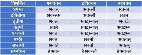 Bhavat Pulling Shabd Roop In Sanskrit - भवत् पुल्लिंग शब्द के रूप - भेद ...