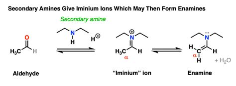 Imines Properties Formation Reactions And Mechanisms Master