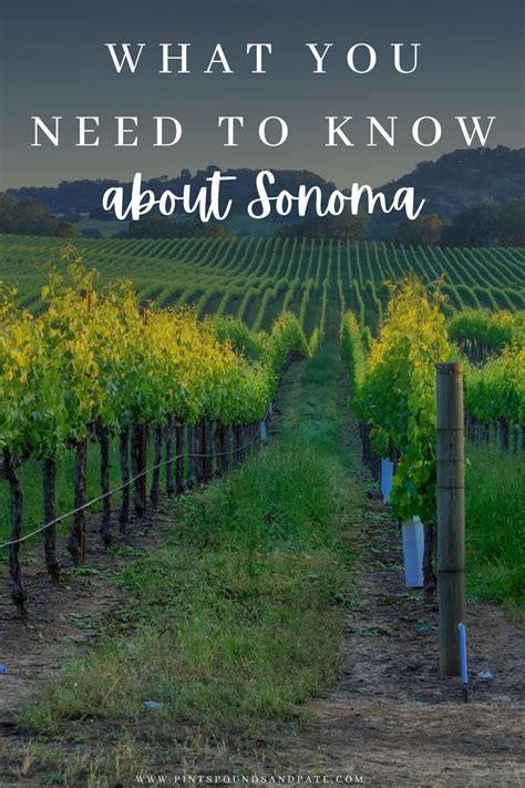 Best Sonoma Wine Tasting Experiences You Can T Miss Artofit