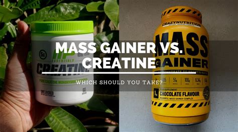 Mass Gainer vs. Creatine: Which To Take? - Lift Big Eat Big