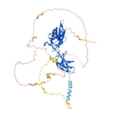 Rcsb Pdb Af Afq F Computed Structure Model Of Transcription