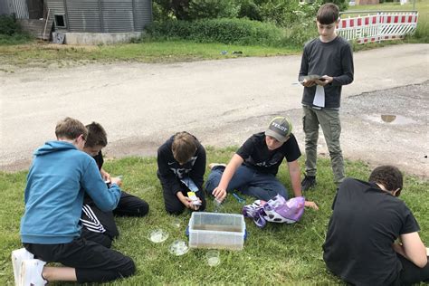 Welche Wasserqualität haben unsere Bäche Conrad Weiser Schule Aspach