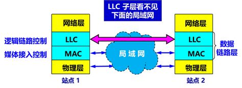 数据链路层 广播信道 Kingwzun 博客园