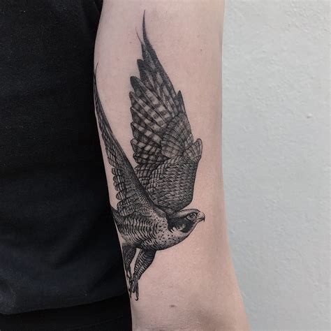 jesse olsen  instagram peregrine flacon  ebony hawk tattoo