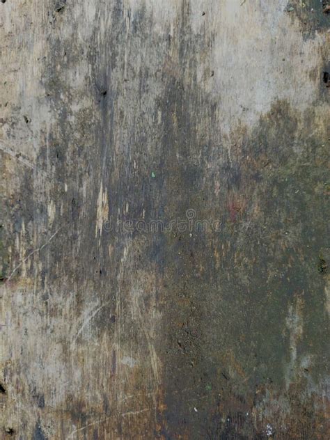 Old Mossy Dirty Wood Texture Stock Photo Image Of Tile Mossy 265216088