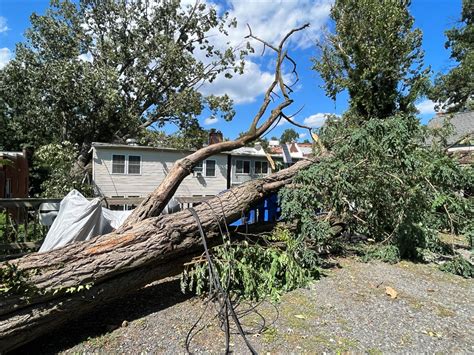 Severe Weather Knocks Down Trees Shuts Off Power For Thousands Wtop News