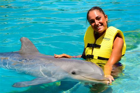 Delfín Swim Ride Cozumel EXCURSIONES TOURS TRIPS RIVIERA MAYA