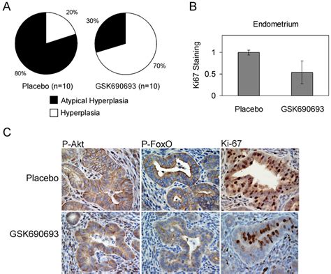 GSK690693 Delays Endometrial Tumor Progression In Pten Knockout