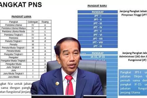 NEGARA TIDAK PAKAI PNS GOLONGAN I II III IV LAGI Jabatan Baru Akan