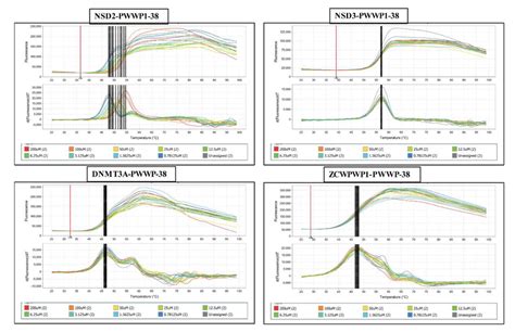 The Melting Curves Of Pwwp Domains Protein Protein With Compound 38