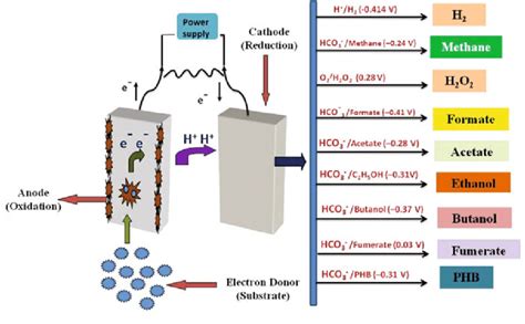 6 Schematic Representation Of Bioelectrochemical System Including Its