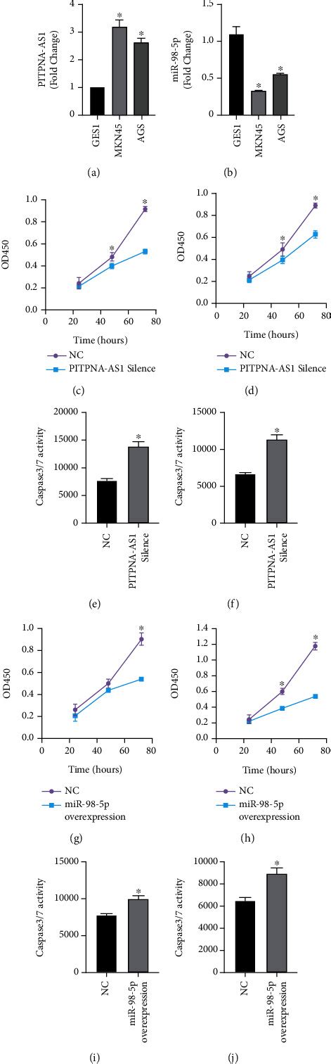 Pitpna As Mir P To Mediate The Cisplatin Resistance Of Gastric