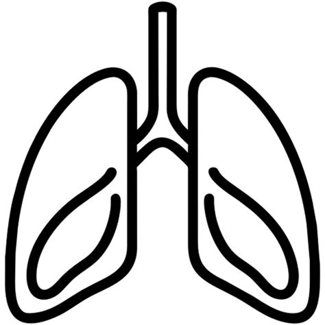 Premium Vector Lungs Icon Outline