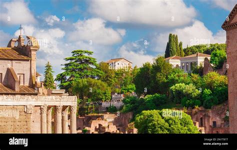 Tourism In Rome Tourists Visit Roman Forum Ancient Ruins And Palatine