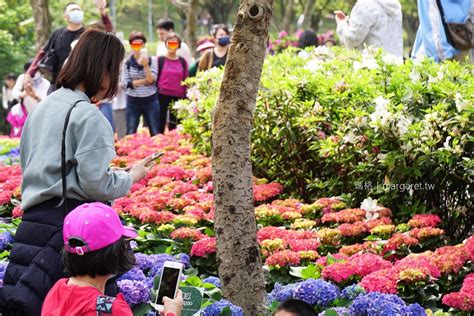 大安森林公園。杜鵑心心園繡球花開了｜台北杜鵑花季 瑪格。圖寫生活