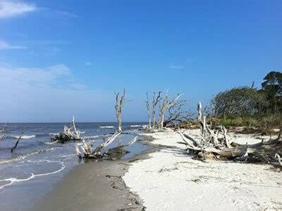 Explore Jekyll Island - The Official Website of Jekyll Island and the ...