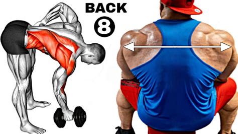 8 Best Exercises To Build Bigger Back Back Workout Best Effective