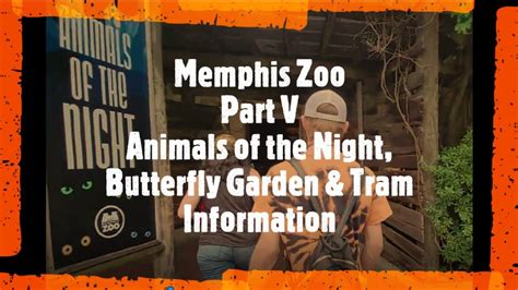 👉part V The Memphis Zoo👉👉animals Of The Night 🦇🐀👀 Youtube